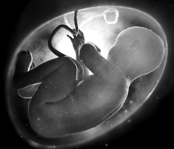 Иллюстрация к книге — Тайны человека [i_010.jpg]