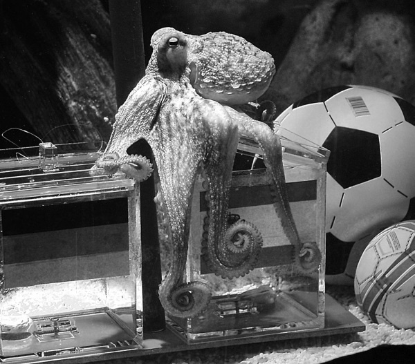 Иллюстрация к книге — Тайны человека [i_020.jpg]