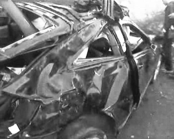 Иллюстрация к книге — Я, президент и чемпион мира [_277_3.jpg]