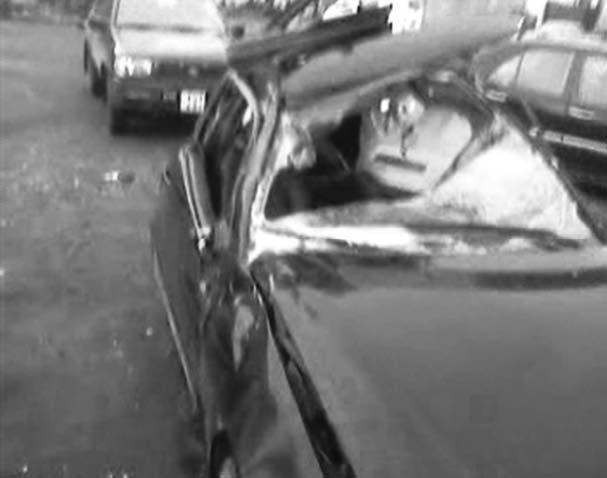 Иллюстрация к книге — Я, президент и чемпион мира [_277_4.jpg]