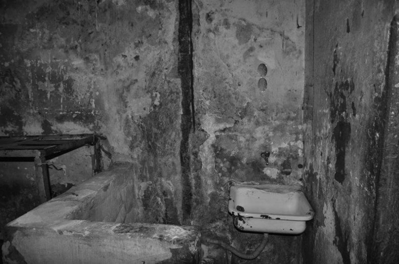 Иллюстрация к книге — Я, президент и чемпион мира [_334.jpg]