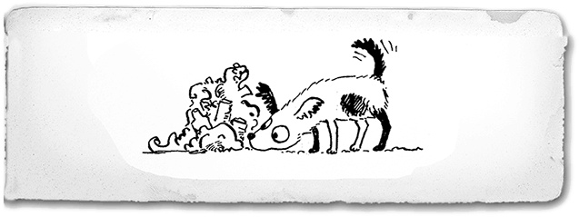 Иллюстрация к книге — Щенок под прикрытием [i_026.jpg]