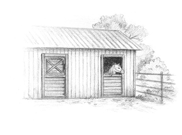 Иллюстрация к книге — Пони Милочка и самое лучшее лето [i_009.jpg]