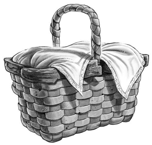 Иллюстрация к книге — Страна Сказок. Заклинание желаний [i_011.jpg]