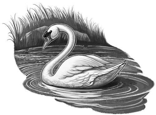 Иллюстрация к книге — Страна Сказок. Заклинание желаний [i_016.jpg]