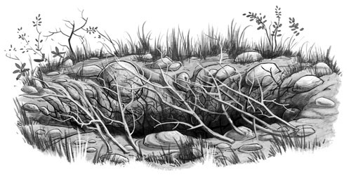 Иллюстрация к книге — Страна Сказок. Заклинание желаний [i_020.jpg]