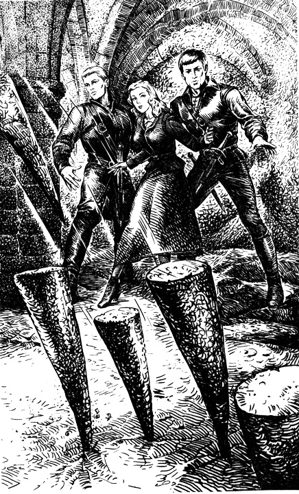 Иллюстрация к книге — Связанные одной смертью [i_001.jpg]