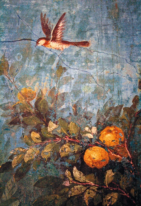 Иллюстрация к книге — Мост через бездну. Книга 1. Комментарий к античности [i_142.jpg]