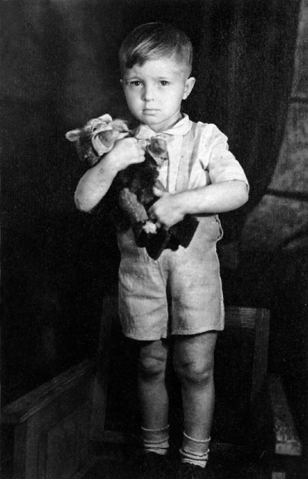 Иллюстрация к книге — Лопухи и лебеда [i_001.jpg]