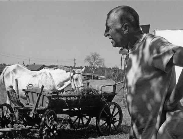 Иллюстрация к книге — Лопухи и лебеда [i_056.jpg]