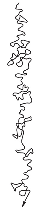 Иллюстрация к книге — PASSIONARIUM. Теория пассионарности и этногенеза. Этногенез и биосфера земли. Конец и вновь начало [i_013.jpg]