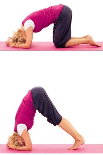 Иллюстрация к книге — Йога с Валерией [image74.jpg]