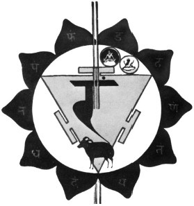 Иллюстрация к книге — Кундалини-йога. Змеиная сила [i_004.jpg]