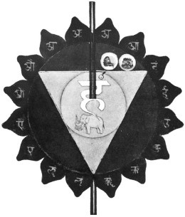 Иллюстрация к книге — Кундалини-йога. Змеиная сила [i_006.jpg]