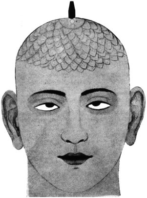 Иллюстрация к книге — Кундалини-йога. Змеиная сила [i_008.jpg]