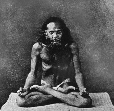 Иллюстрация к книге — Кундалини-йога. Змеиная сила [i_010.jpg]