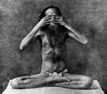 Иллюстрация к книге — Кундалини-йога. Змеиная сила [i_012.jpg]