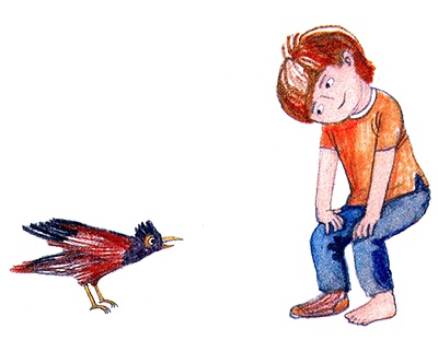 Иллюстрация к книге — Суперфадж [i_001.jpg]