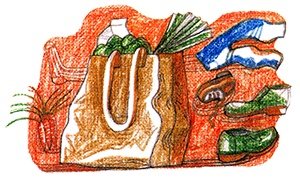 Иллюстрация к книге — Суперфадж [i_010.jpg]