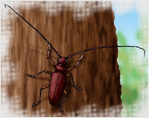 Иллюстрация к книге — Здравствуйте, я ваша фея, Или Cчастье по вызову [i_006.jpg]