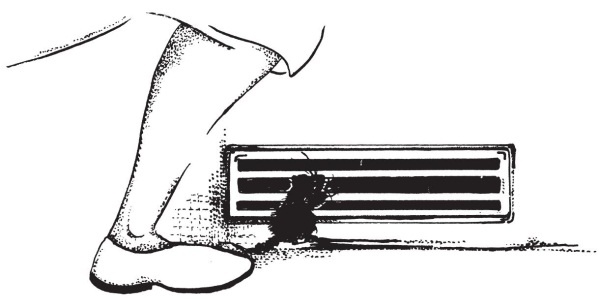 Иллюстрация к книге — Миссис Фрисби и крысы НИПЗ [i_017.jpg]