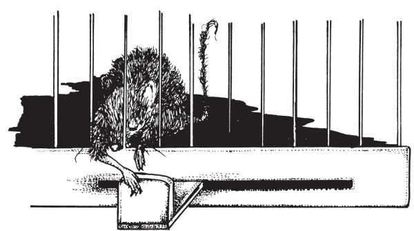 Иллюстрация к книге — Миссис Фрисби и крысы НИПЗ [i_018.jpg]