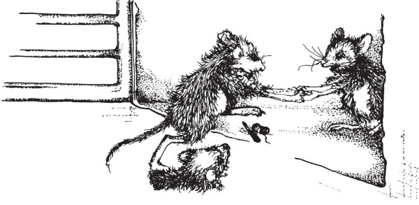 Иллюстрация к книге — Миссис Фрисби и крысы НИПЗ [i_019.jpg]