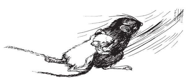 Иллюстрация к книге — Миссис Фрисби и крысы НИПЗ [i_020.jpg]