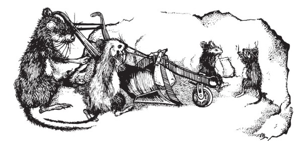 Иллюстрация к книге — Миссис Фрисби и крысы НИПЗ [i_022.jpg]