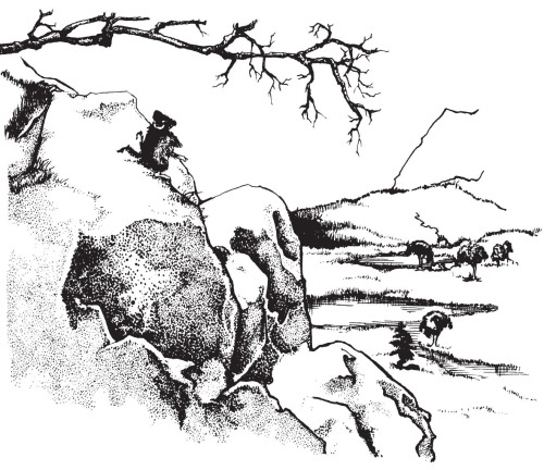 Иллюстрация к книге — Миссис Фрисби и крысы НИПЗ [i_024.jpg]