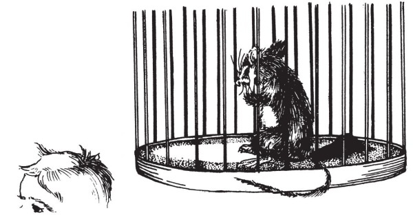 Иллюстрация к книге — Миссис Фрисби и крысы НИПЗ [i_026.jpg]