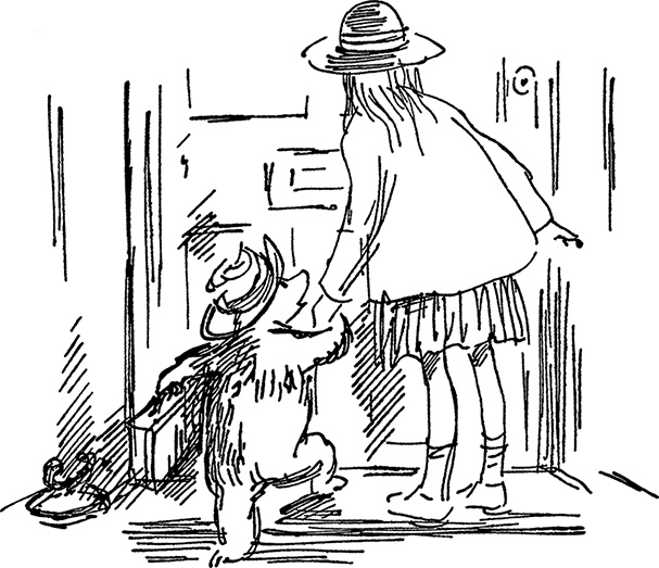 Иллюстрация к книге — Медвежонок по имени Паддингтон [i_005.jpg]