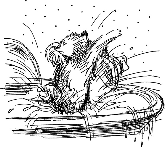 Иллюстрация к книге — Медвежонок по имени Паддингтон [i_007.jpg]