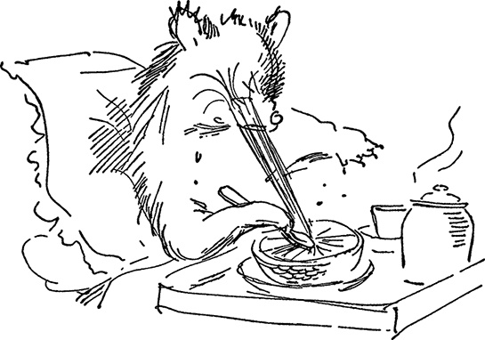 Иллюстрация к книге — Медвежонок по имени Паддингтон [i_011.jpg]