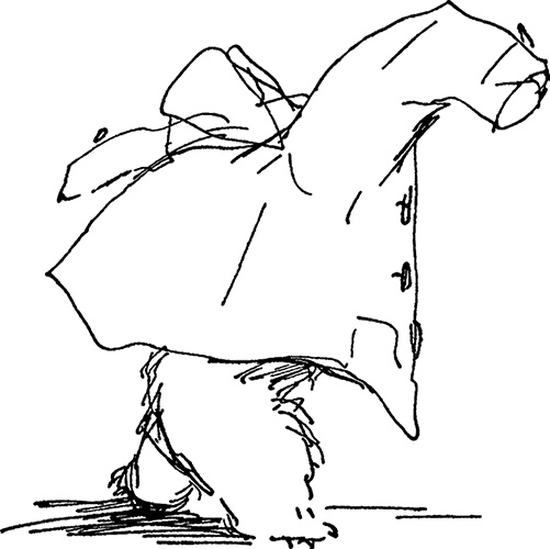 Иллюстрация к книге — Медвежонок по имени Паддингтон [i_015.jpg]