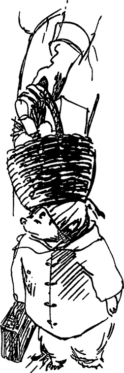 Иллюстрация к книге — Медвежонок по имени Паддингтон [i_016.jpg]