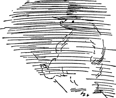 Иллюстрация к книге — Медвежонок по имени Паддингтон [i_018.jpg]