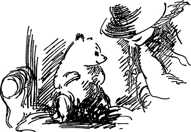 Иллюстрация к книге — Медвежонок по имени Паддингтон [i_023.jpg]