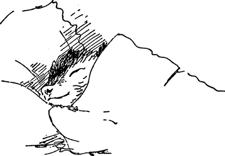 Иллюстрация к книге — Медвежонок по имени Паддингтон [i_026.jpg]