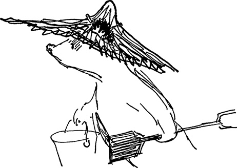 Иллюстрация к книге — Медвежонок по имени Паддингтон [i_027.jpg]