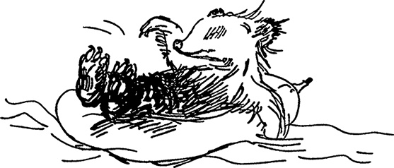 Иллюстрация к книге — Медвежонок по имени Паддингтон [i_030.jpg]