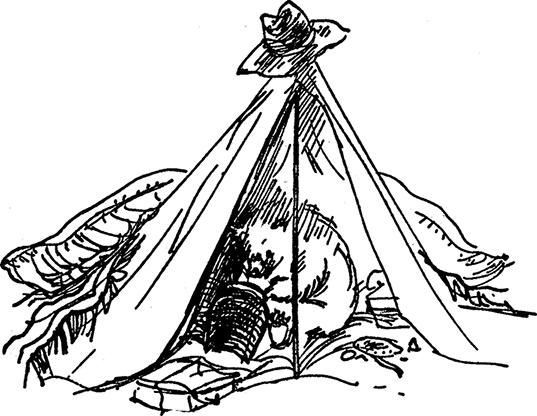 Иллюстрация к книге — Медвежонок по имени Паддингтон [i_033.jpg]