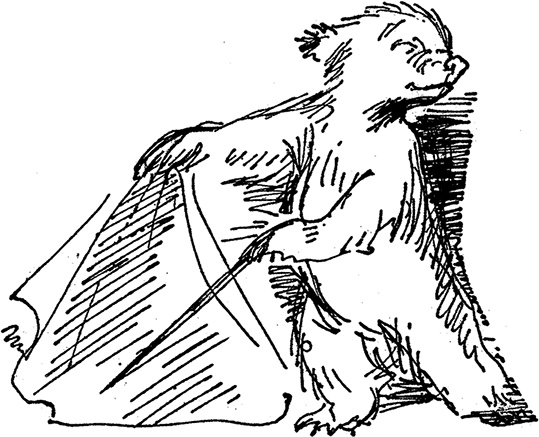 Иллюстрация к книге — Медвежонок по имени Паддингтон [i_035.jpg]