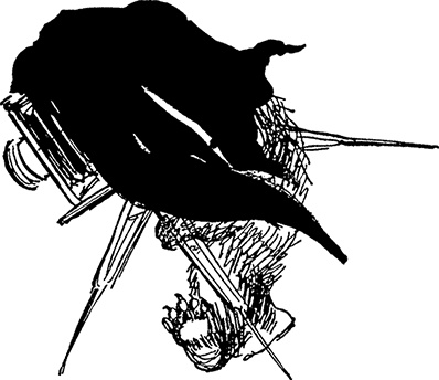 Иллюстрация к книге — Медвежонок Паддингтон. Новые приключения [i_002.jpg]