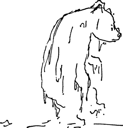 Иллюстрация к книге — Медвежонок Паддингтон. Новые приключения [i_006.jpg]