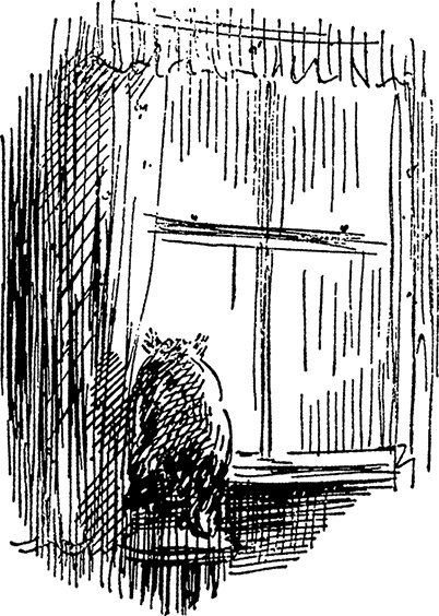 Иллюстрация к книге — Медвежонок Паддингтон. Новые приключения [i_014.jpg]