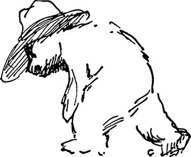 Иллюстрация к книге — Медвежонок Паддингтон. Новые приключения [i_015.jpg]