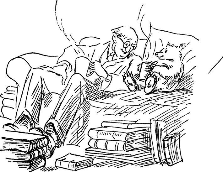 Иллюстрация к книге — Медвежонок Паддингтон. Новые приключения [i_021.jpg]