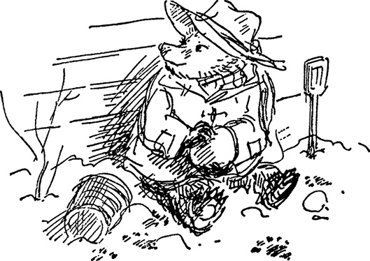 Иллюстрация к книге — Медвежонок Паддингтон. Новые приключения [i_028.jpg]