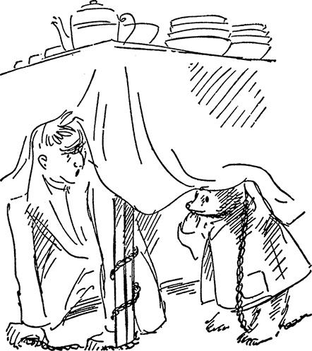 Иллюстрация к книге — Медвежонок Паддингтон. Новые приключения [i_034.jpg]